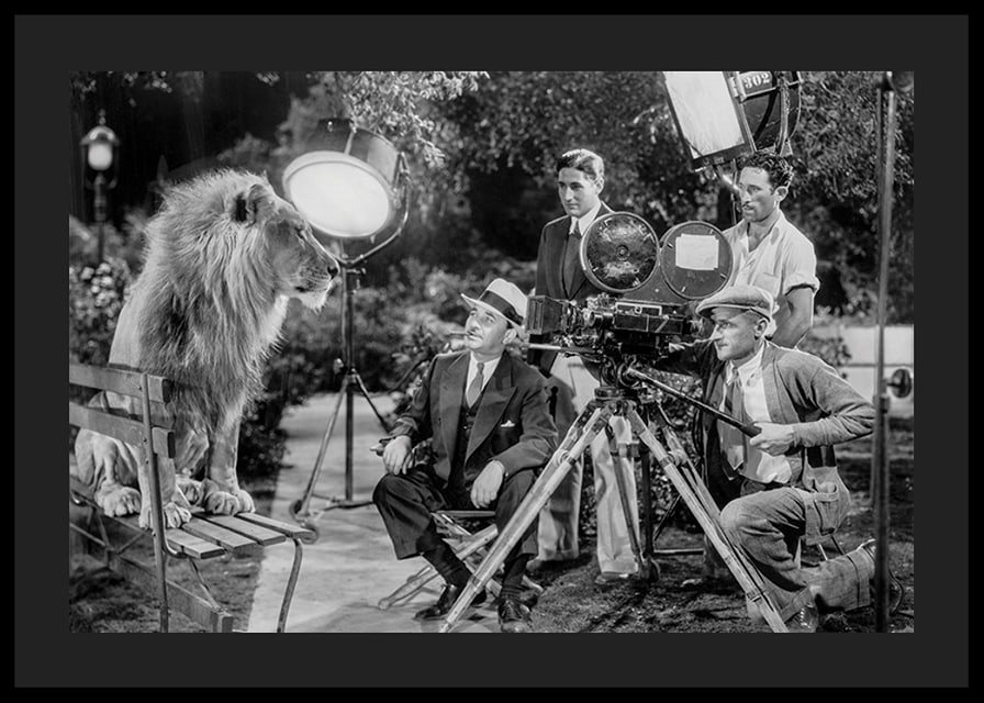 Black and white scene with lion on bench and film recording-12