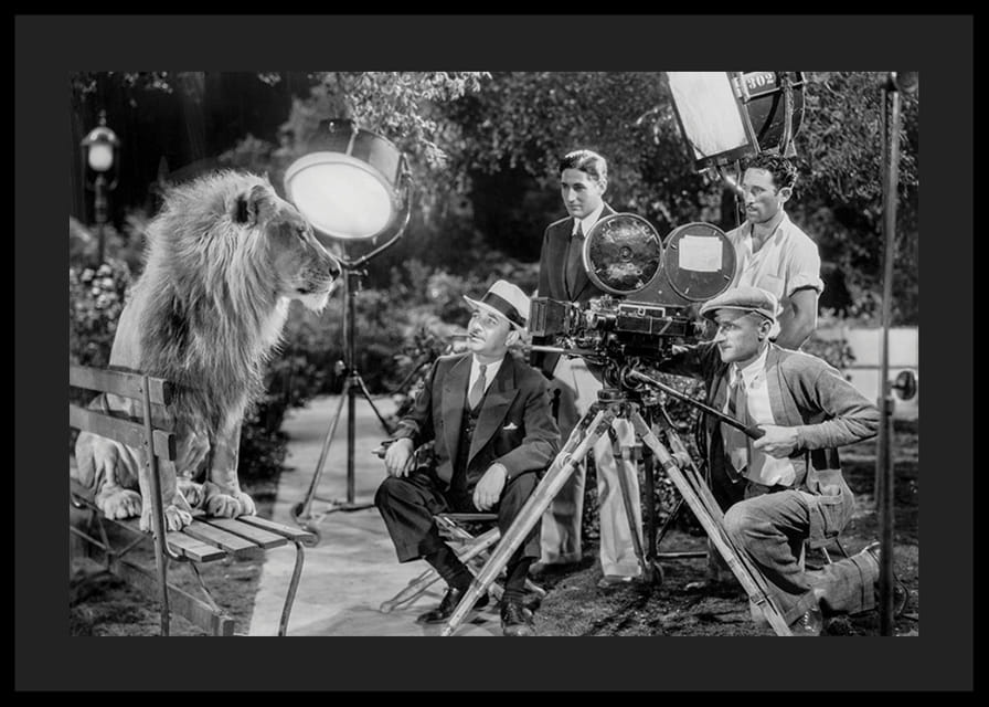 Fekete-fehér jelenet oroszlánnal a padon és filmfelvétellel-12