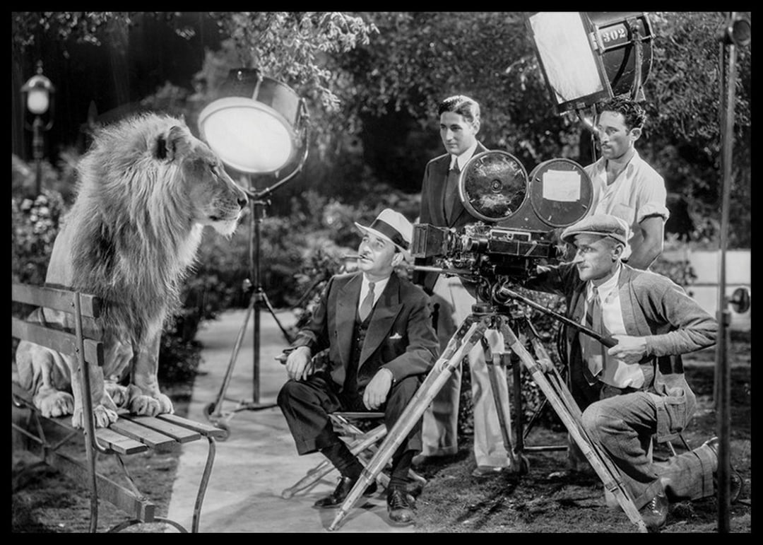 Filmopname Lion Posing Poster | Zwart wit | Gallerix.be