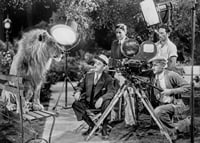 Black and white scene with lion on bench and film recording-7