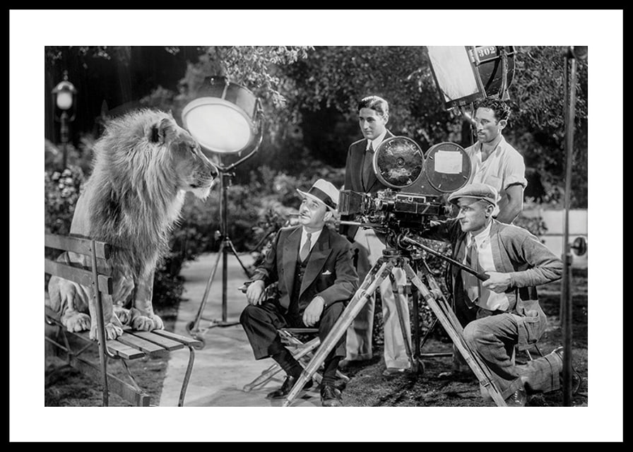 Black and white scene with lion on bench and film recording-12