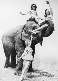 Black and white circus scene with three women and an elephant-7