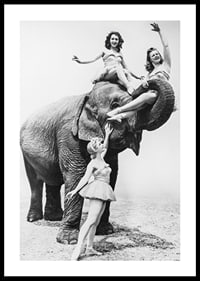 Black and white circus scene with three women and an elephant-0