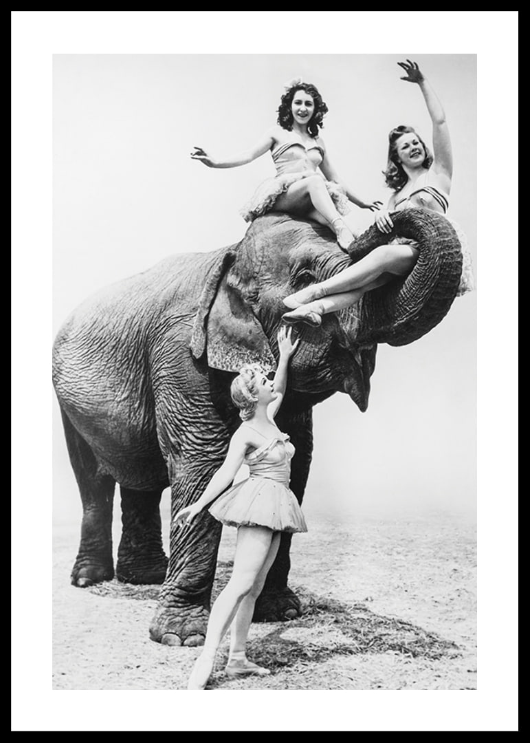 Black and white circus scene with three women and an elephant-12