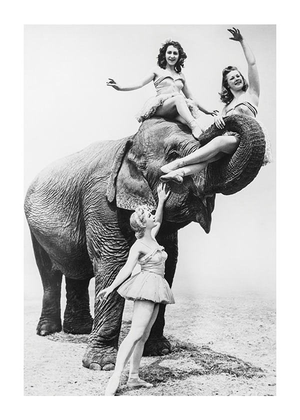 Póster Women Riding Elephant