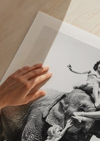 Black and white circus scene with three women and an elephant-9