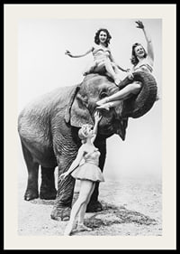 Black and white circus scene with three women and an elephant-2