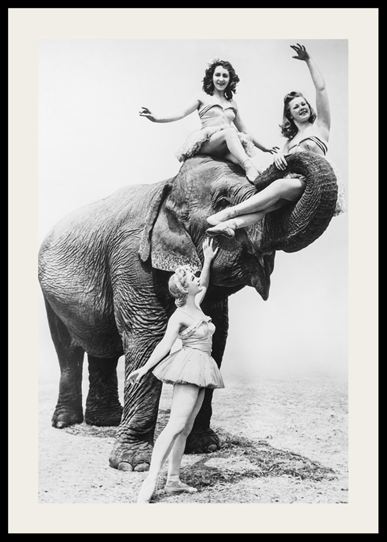 Black and white circus scene with three women and an elephant-12