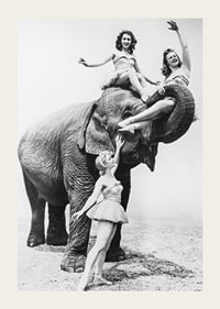 Black and white circus scene with three women and an elephant-3