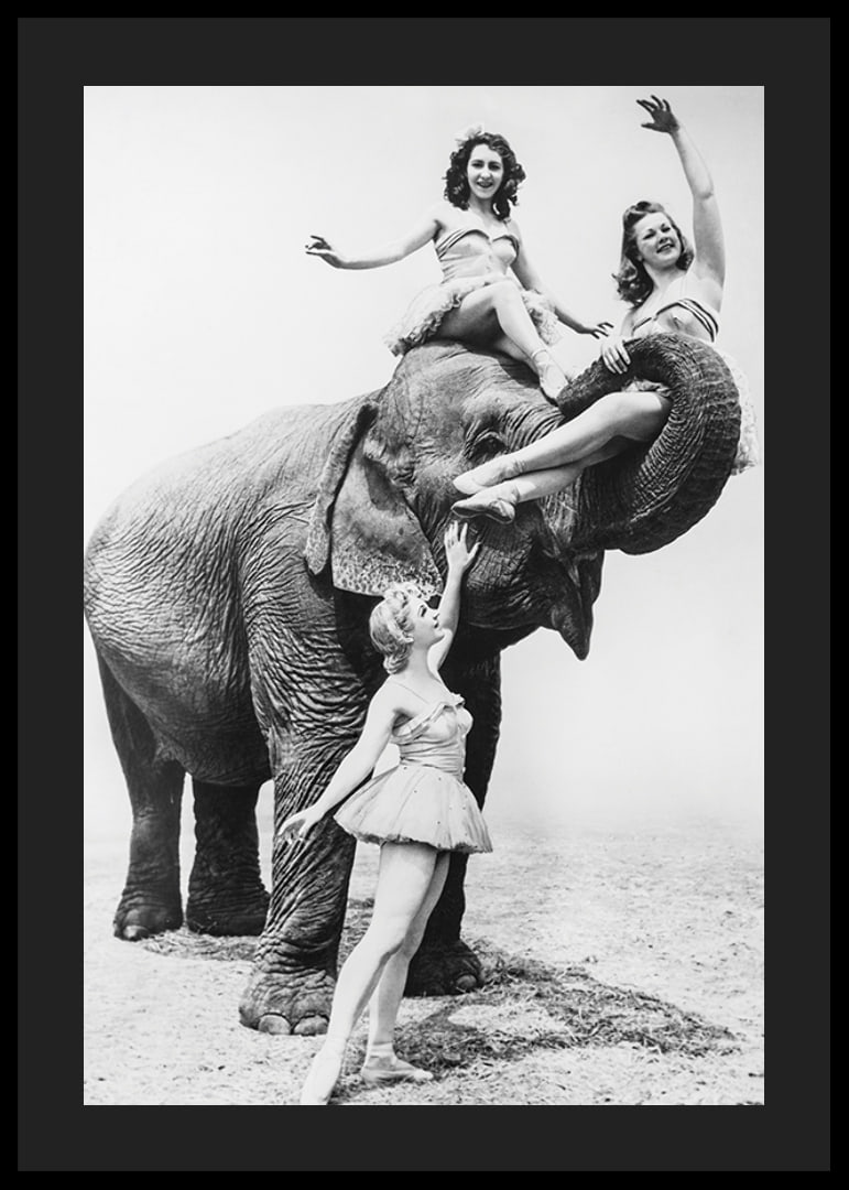 Black and white circus scene with three women and an elephant-12