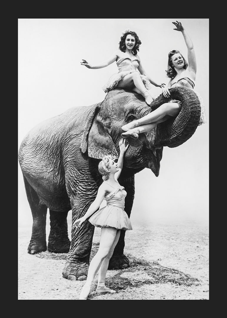 Black and white circus scene with three women and an elephant-12