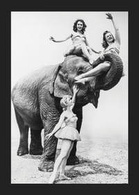 Czarno-biała scena cyrkowa z trzema kobietami i słoniem-5