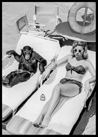 Black and white vintage photograph of woman and chimpanzee by pool-6