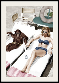 Colorful vintage environment with woman and chimpanzee by the pool-2