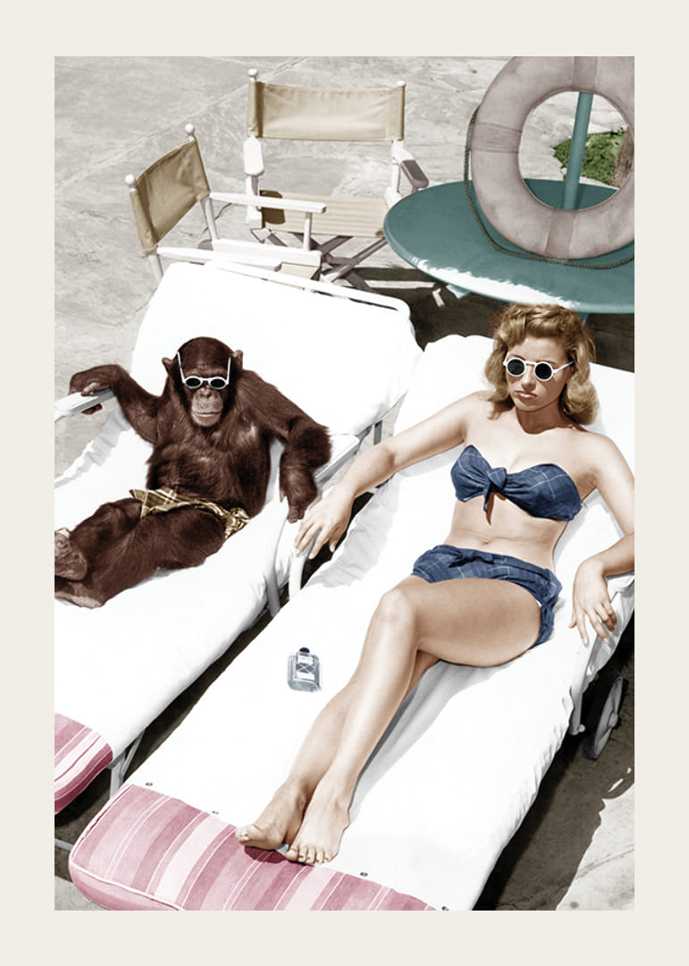 Färglagd vintagemiljö med kvinna och schimpans vid pool-12