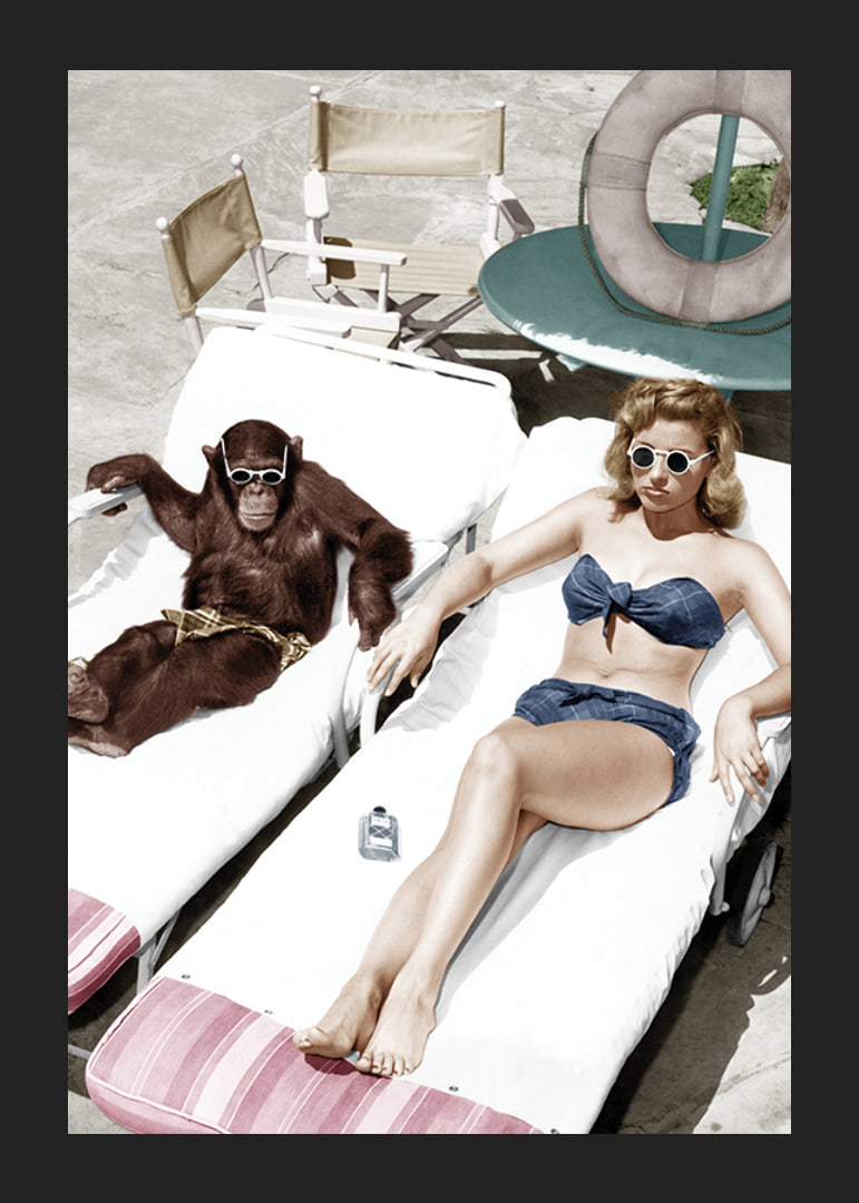 Colorful vintage environment with woman and chimpanzee by the pool-12