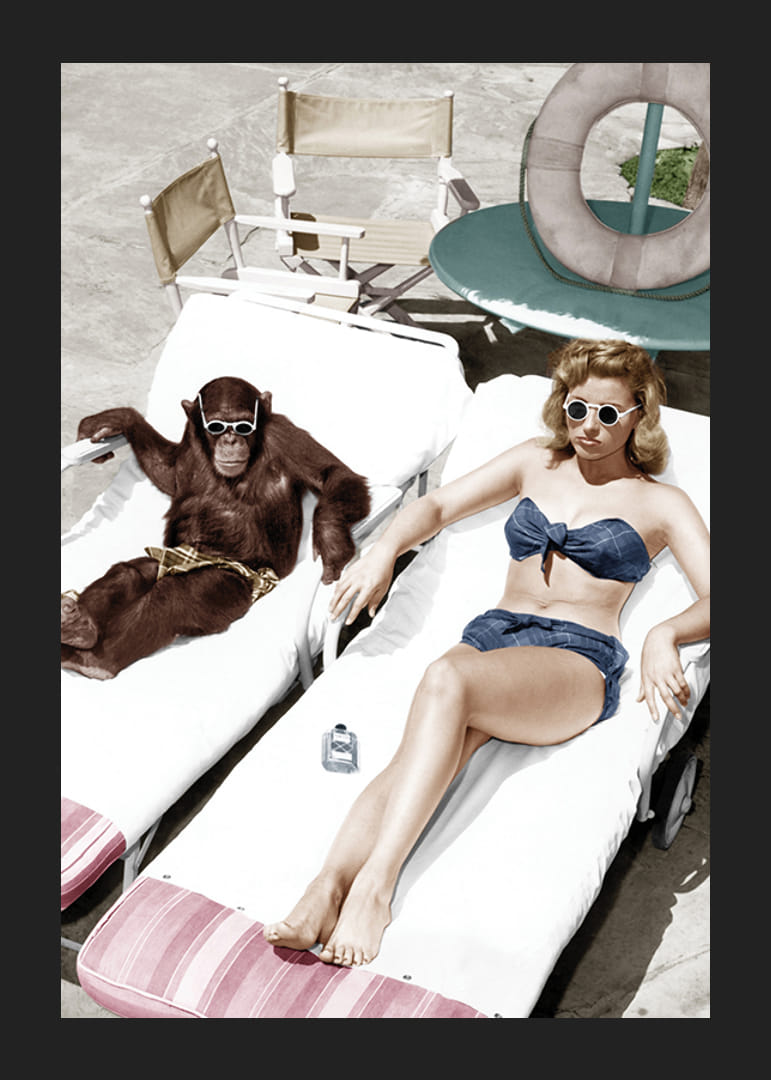 Färglagd vintagemiljö med kvinna och schimpans vid pool-12