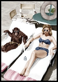 Colorful vintage environment with woman and chimpanzee by the pool-6