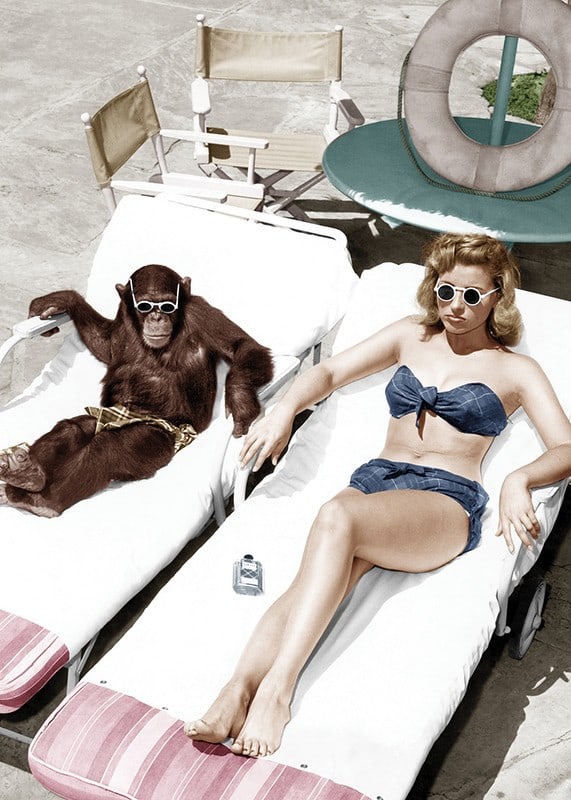 Colorful vintage environment with woman and chimpanzee by the pool-12