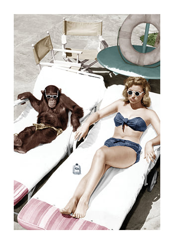 Poster Chimpanzee And Woman