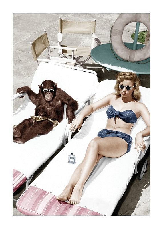 Chimpanzee And Woman-12
