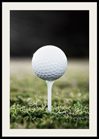 Photographic close-up of white golf ball on tee in grass-2
