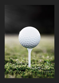 Photographic close-up of white golf ball on tee in grass-5