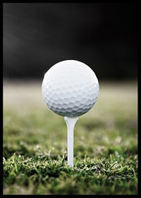 Photographic close-up of white golf ball on tee in grass-6
