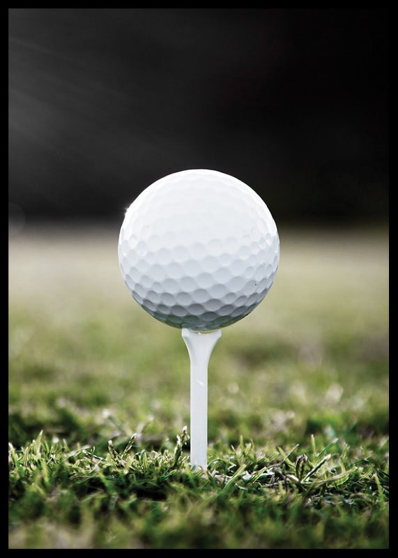 Photographic close-up of white golf ball on tee in grass-12