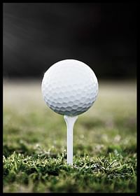 Golf Ball On Tee-2