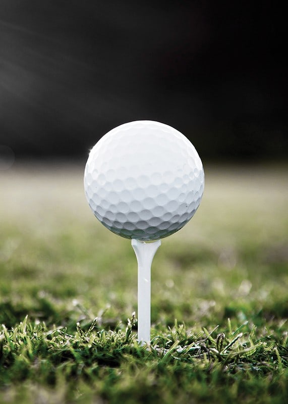 Photographic close-up of white golf ball on tee in grass-12