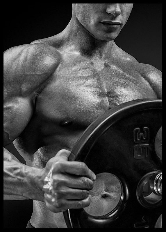 Weights Fitness-12