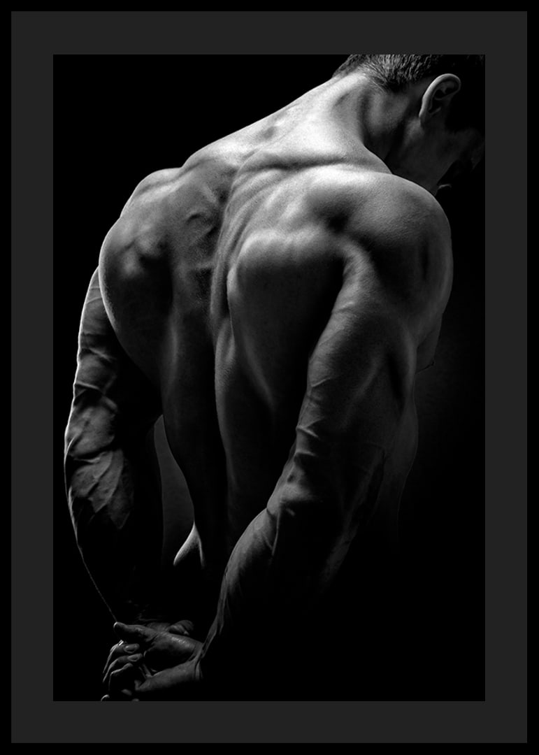 Black and white close-up of muscular man's back and arms-12