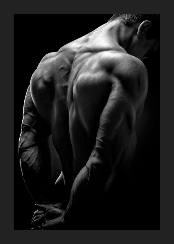 Poster Back Muscles Fitness