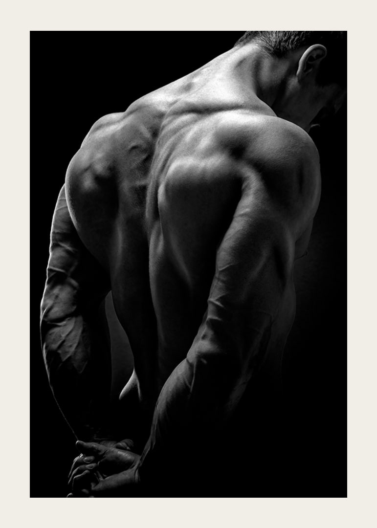 Black and white close-up of muscular man's back and arms-12