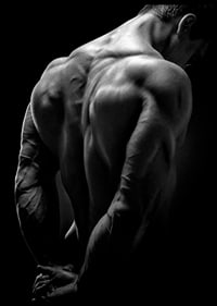 Black and white close-up of muscular man's back and arms-6