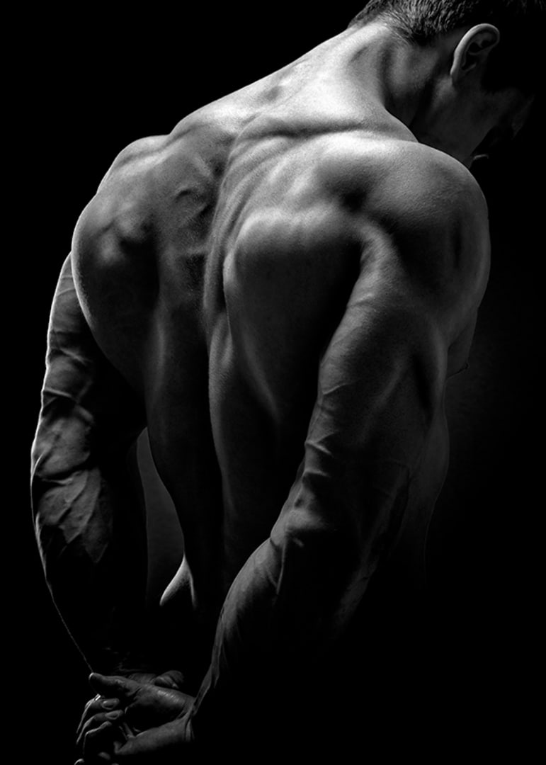Black and white close-up of muscular man's back and arms-12