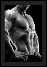 Primer plano en blanco y negro de un torso masculino musculoso de perfil-0
