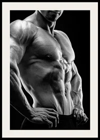 Black and white close-up of muscular male torso in profile-4