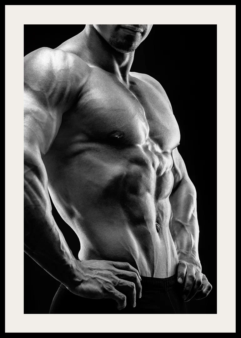 Black and white close-up of muscular male torso in profile-12
