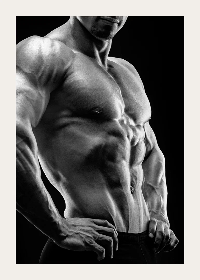 Black and white close-up of muscular male torso in profile-12