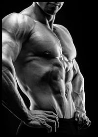 In Shape Fitness No2-2