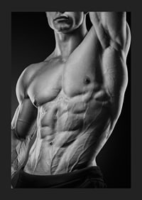Black and white close-up of a man's muscular torso-1