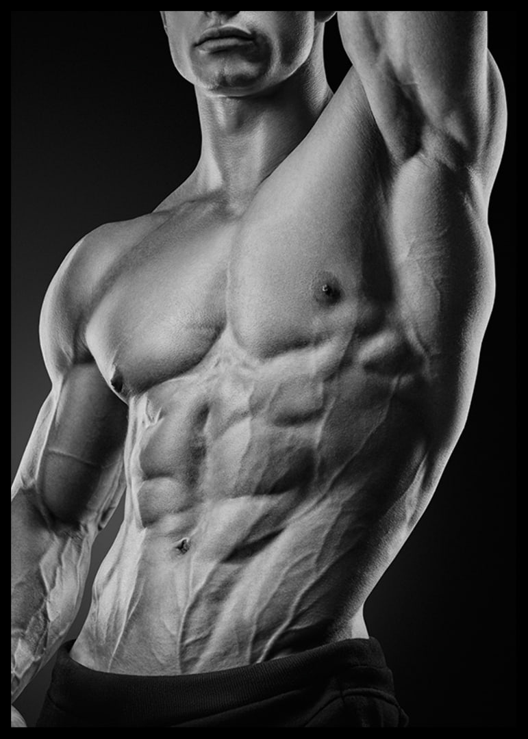 Black and white close-up of a man's muscular torso-12
