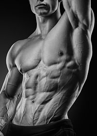 In Shape Fitness No1-3