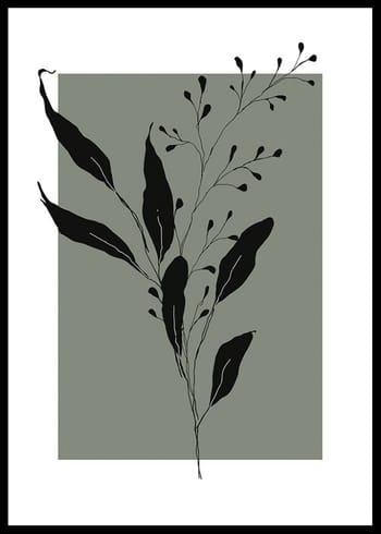 Affiche Botanical Sketch No1