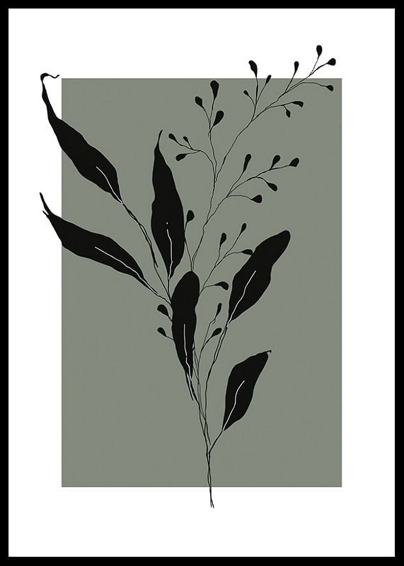 Botanical Sketch No1-12