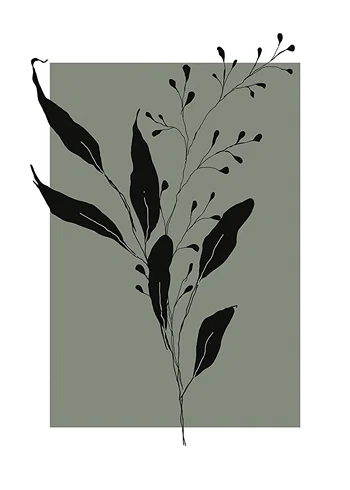 Affiche Botanical Sketch No1