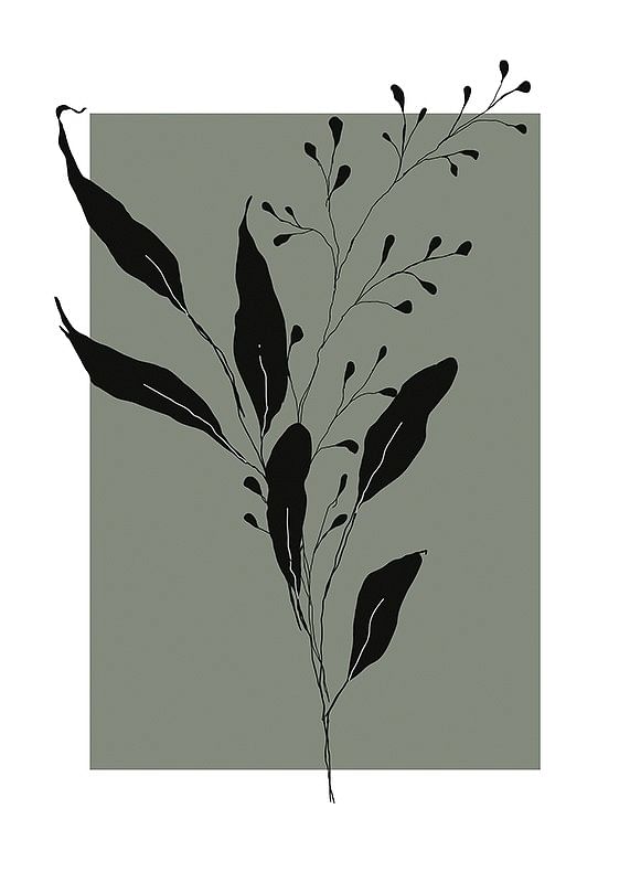 Botanical Sketch No1-12