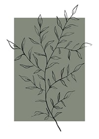 Line drawing twig with leaves against a muted green background-1
